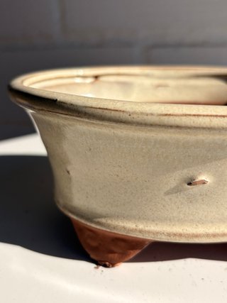 Maceta Ovalada para Bonsái