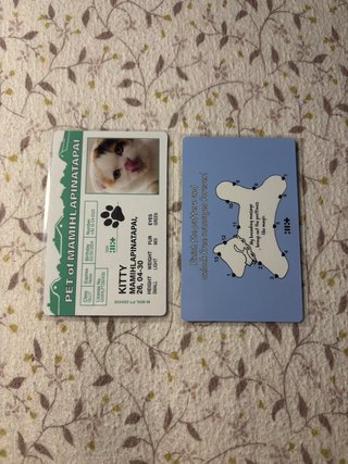 Illit Mamihlapinatapai Moka Photocards Set
