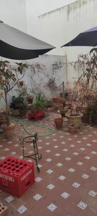 Piso centro Sevilla Alameda