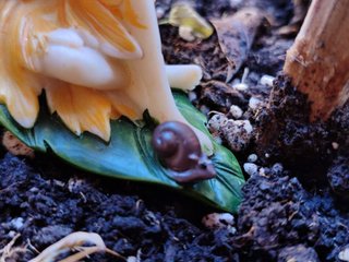 Hada del bosque sobre una hoja con caracol