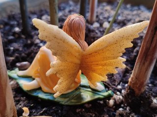 Hada del bosque sobre una hoja con caracol