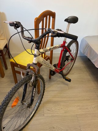 Bicicleta de Montaña Torpado Earth