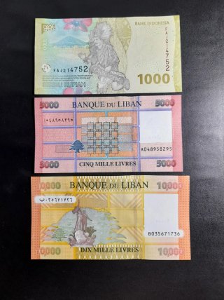 Lotes Billetes Asia
