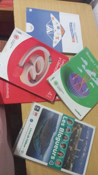 Libro Lengua Castellana y Literatura 4 ESO Santill