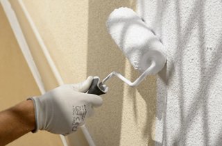 Servicio de Pintura Profesional