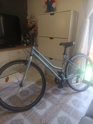 Bicicleta Riverside Gris