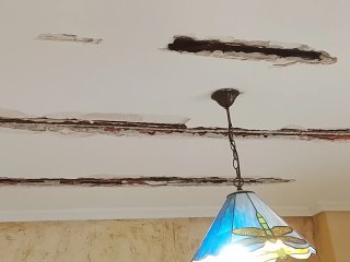 Servicio de Pintura Profesional