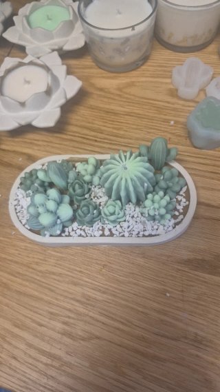 Vela artesanal cactus