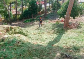 TRABAJOS DE JARDINERIA Y DESBROCE EN ASTURIAS