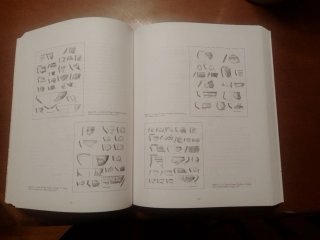 Arqueología en Castilla y León. Cogotas I.