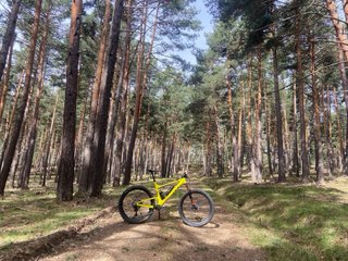 Bicicleta Scott Spark RC Comp 2022 talla XL