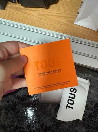 Monedero Tous Plata