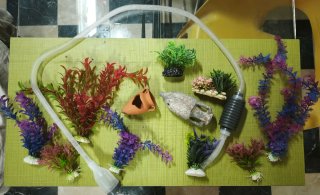Set de Decoración para Acuario o Pecera