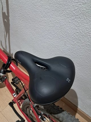 Bicicleta TOPLIFE Rin 26 Poco Uso