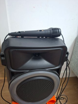 Altavoz 300W