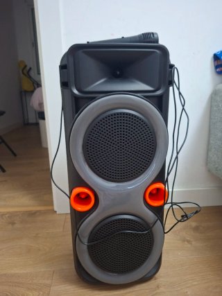 Altavoz 300W