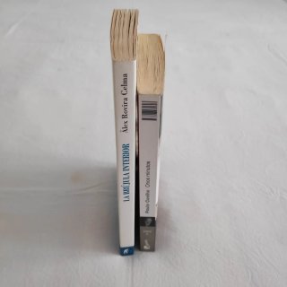 Lote libros autoayuda