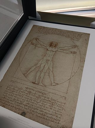 LEONARDO 500 - SKEL - El hombre de Vitruvio, serie florencia, serie limitada nº 2599 de 2998