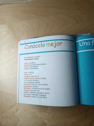 Mis animales favorito,La rana, el león, el lobo...