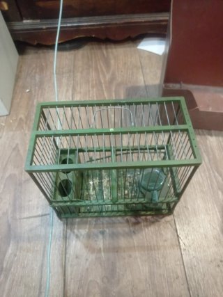 Jaula para jilguero verde