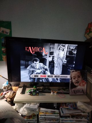 L'amica DVD in italiano Bette Davis Miriam Hopkins