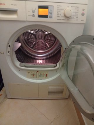 Secadora Bosch Ecologixx