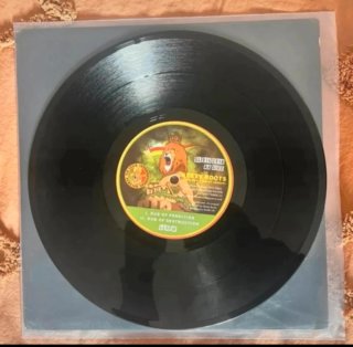 Lote 8 Vinilos Reggae/Dub Raro - VG+
