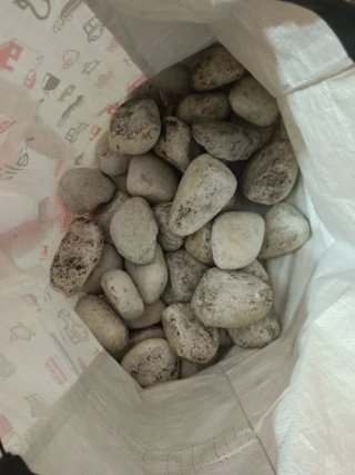 Piedras blancas para jardín y macetas