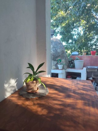 Mesa de Madera Antigua