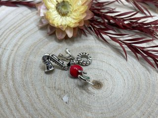 Charm Música y Rosa