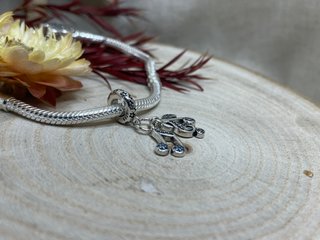Charm Notas Musicales