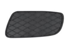 Rejilla Paragolpes Smart Fortwo (2007-2014)