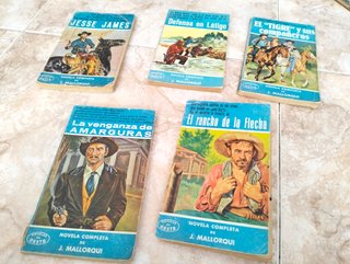 Lote de Novelas