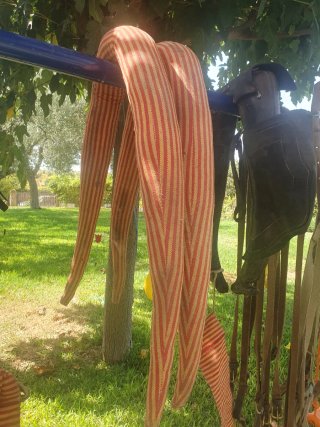 Guarnición de Tronco de nylon