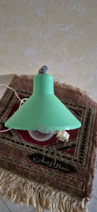 Lampada da tavolo vintage verde menta