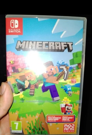 Minecraft Nintendo Switch