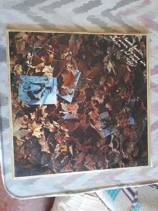 Vinilo Internacional Pop Rock