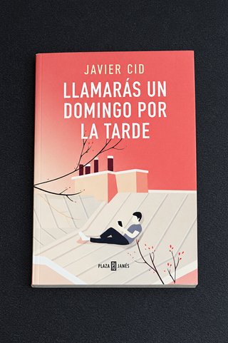 Llamarás un domingo por la tarde - Javier Cid