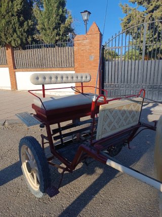 Se vende charret o se cambia por mulo enganchado