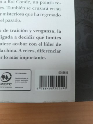 Libro El Dragón Negro - Fernando Benzo