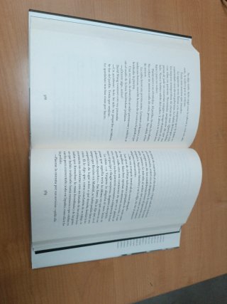 Libro El Dragón Negro - Fernando Benzo