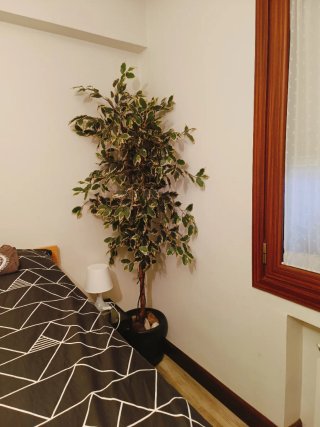 Planta Artificial Decorativa