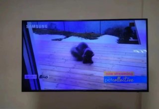 Smart TV 55 pulgadas samsung