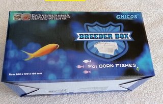 PARIDERA PECES GRANDE para ACUARIO PECERA