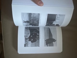 Historia del cine
