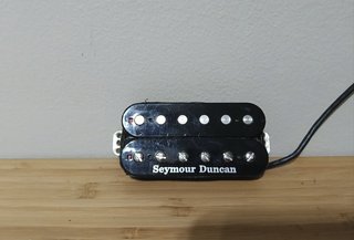 Seymour Duncan Perpetual Burn Trembucker