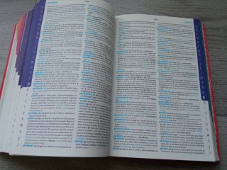 Diccionario Avanzado Primaria. Lengua española