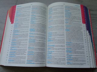 Diccionario Avanzado Primaria. Lengua española