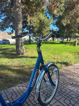 Bicicleta Eléctrica de Tres Ruedas Nueva