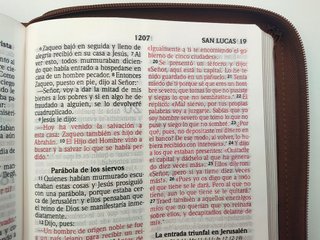 Biblia con Cierre Letra Grande 12 puntos Reina ...